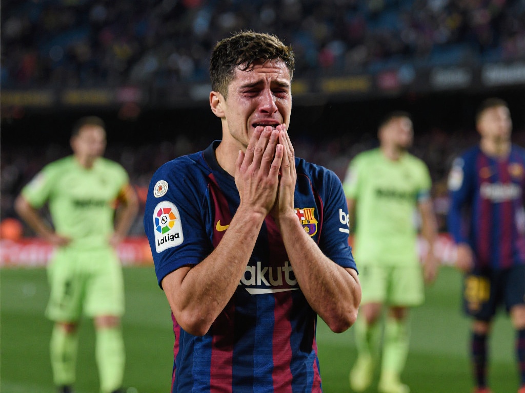 他的组织能 他的组织能